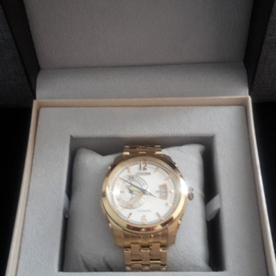 Used Citizen meccanico automatic 4166-S058 198 watch (₱12,508) for sale -  Timepeaks